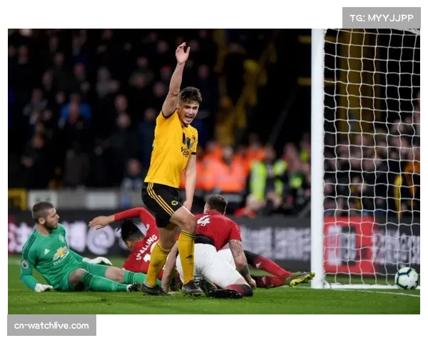 狼队换帅决定背后的保级挑战与战略考量